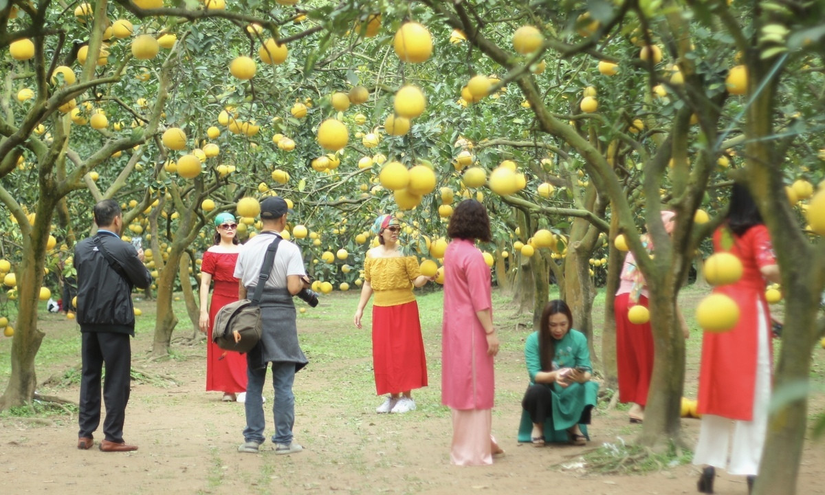 thoa-suc-check-in-tai-vuong-buoi-phuc-dien-04