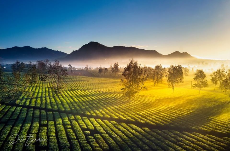 2638-da-den-gia-lai-nhat-dinh-phai-ghe-tham-noi-nay-01_6711160082a42.jpg gia lai