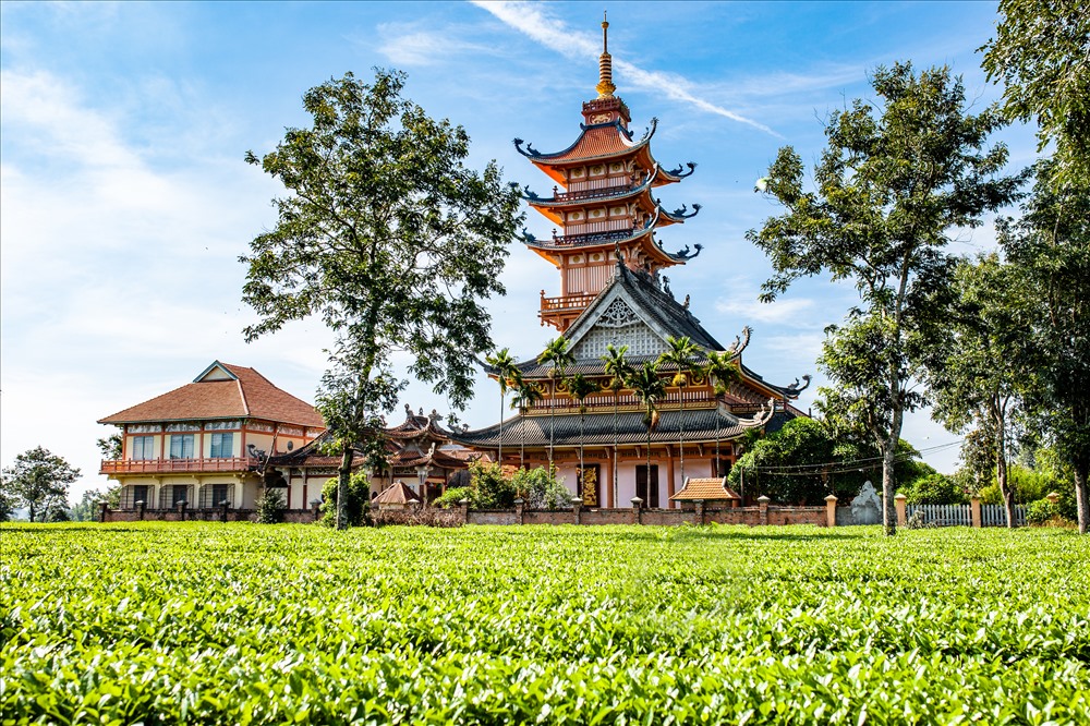 2639-da-den-gia-lai-nhat-dinh-phai-ghe-tham-noi-nay-03_67111642a7795.jpg