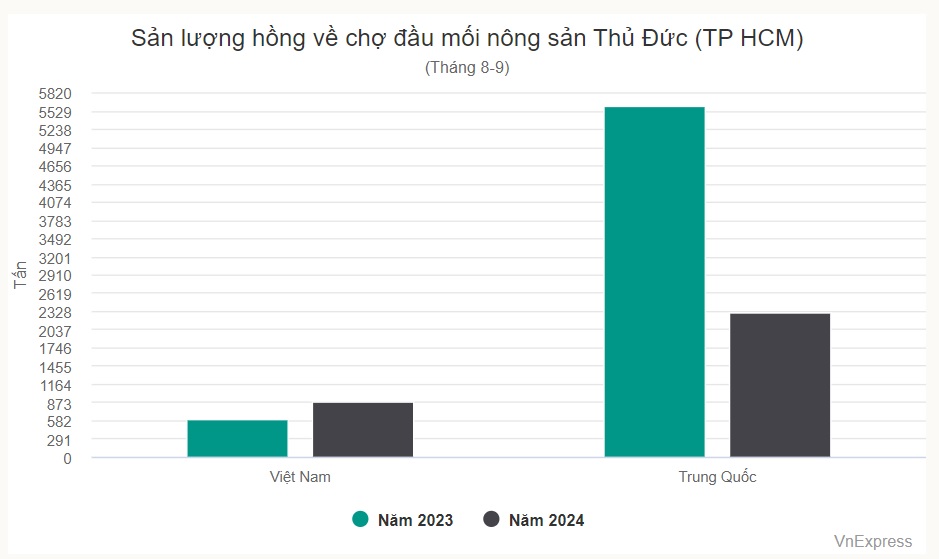 Hồng Đà Lạt 