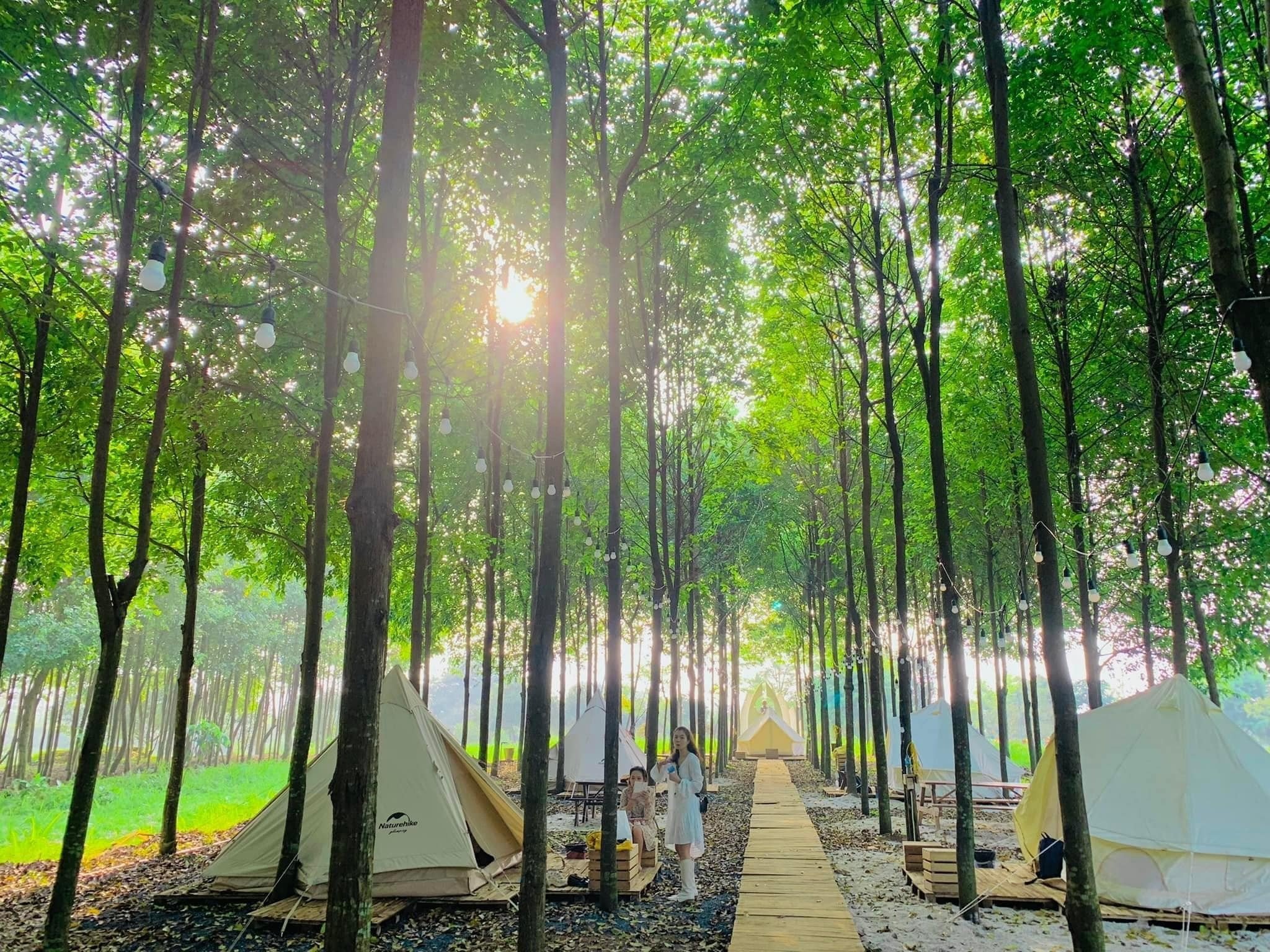 3-dia-diem-glamping-gan-thu-do-trong-tet-nguyen-dan-01
