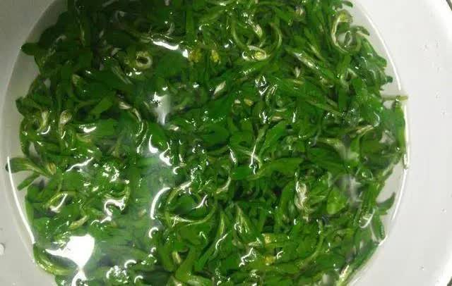 banh-khuc-rau-khuc-2-17101453065662035729424-1710170322047-1710170322203474851172.jpeg