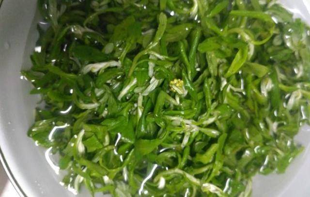 banh-khuc-rau-khuc-3-1710145306584355911753-1710170321318-17101703215231745584004.jpeg
