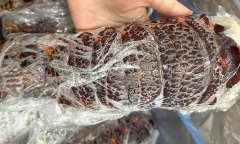 Đuôi tôm hùm Australia giá rẻ bán đầy chợ mạng