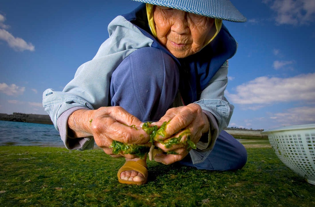 Bí quyết sống thọ của cụ ông này được nhiều nhà khoa học chứng minh tốt cho sức khoẻ.