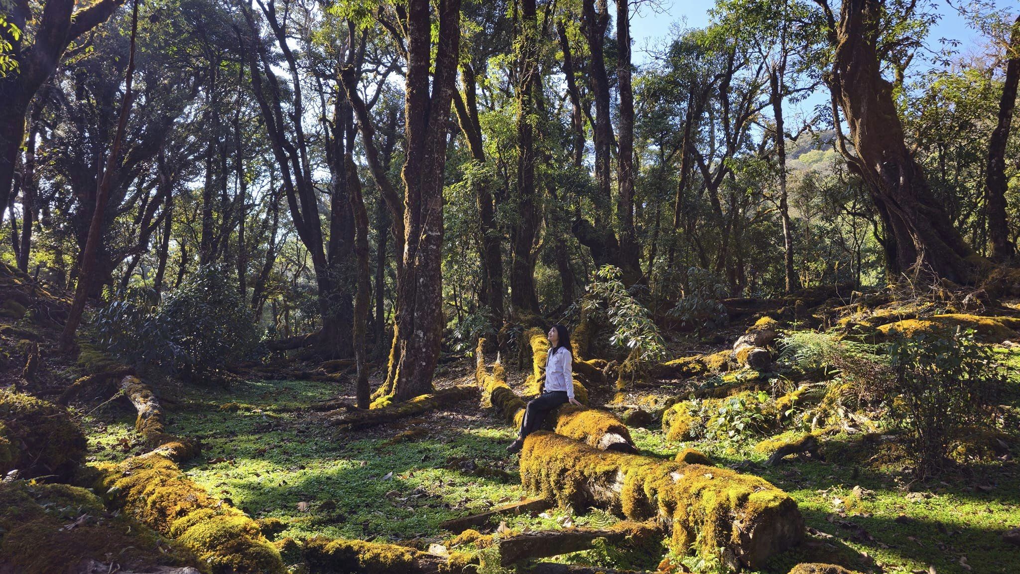Đỉnh Sa Mu Sơn La - Điểm Trekking Với Vẻ Đẹp Ấn Tượng