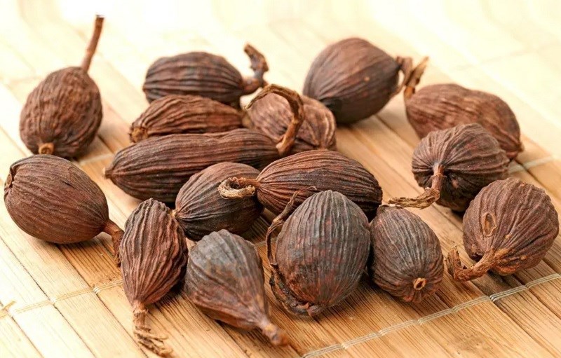 thao-qua-la-gi-tac-dung-cua-thao-qua-thao-qua-dung-lam-gi-2-800x511-1712496113690-1712496114231402540618.jpg