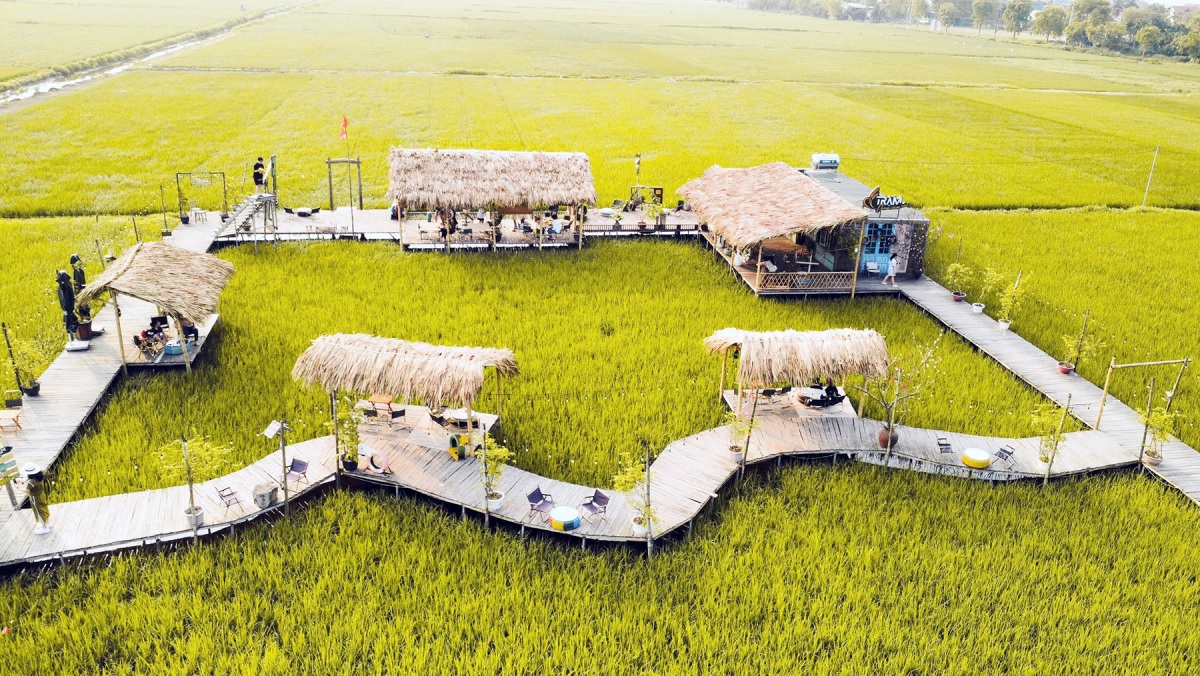 Người Hà Nội rủ nhau đi quán cà phê ruộng