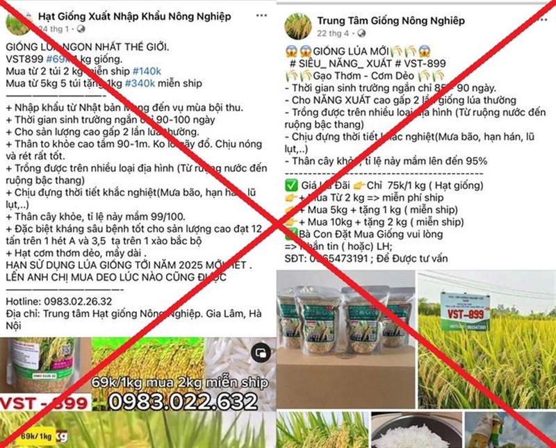 Nhóm Đối Tượng Lừa Đảo Gần 8 Tỷ Đồng Núp Bóng Bán Lúa Giống Lạ
