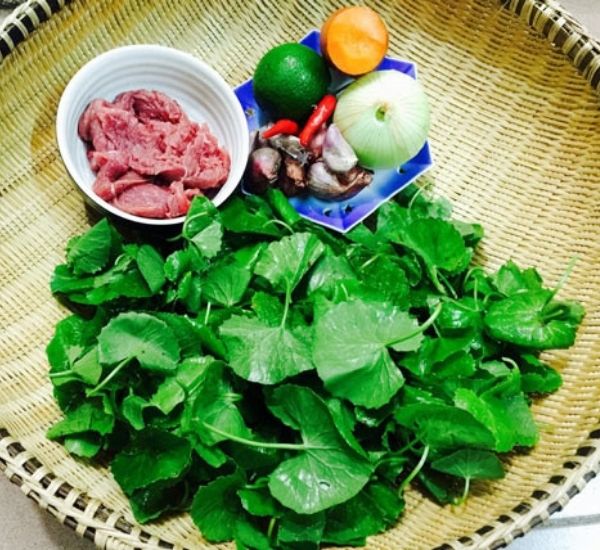 Rau má, loại rau quen thuộc trong bữa ăn của người Việt, từ lâu đã gắn bó với đời sống của người dân quê hương như một món quà tự nhiên quý giá