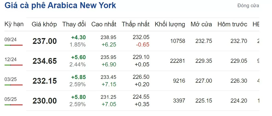 new-york20240815054041.webp?rt=202408150928