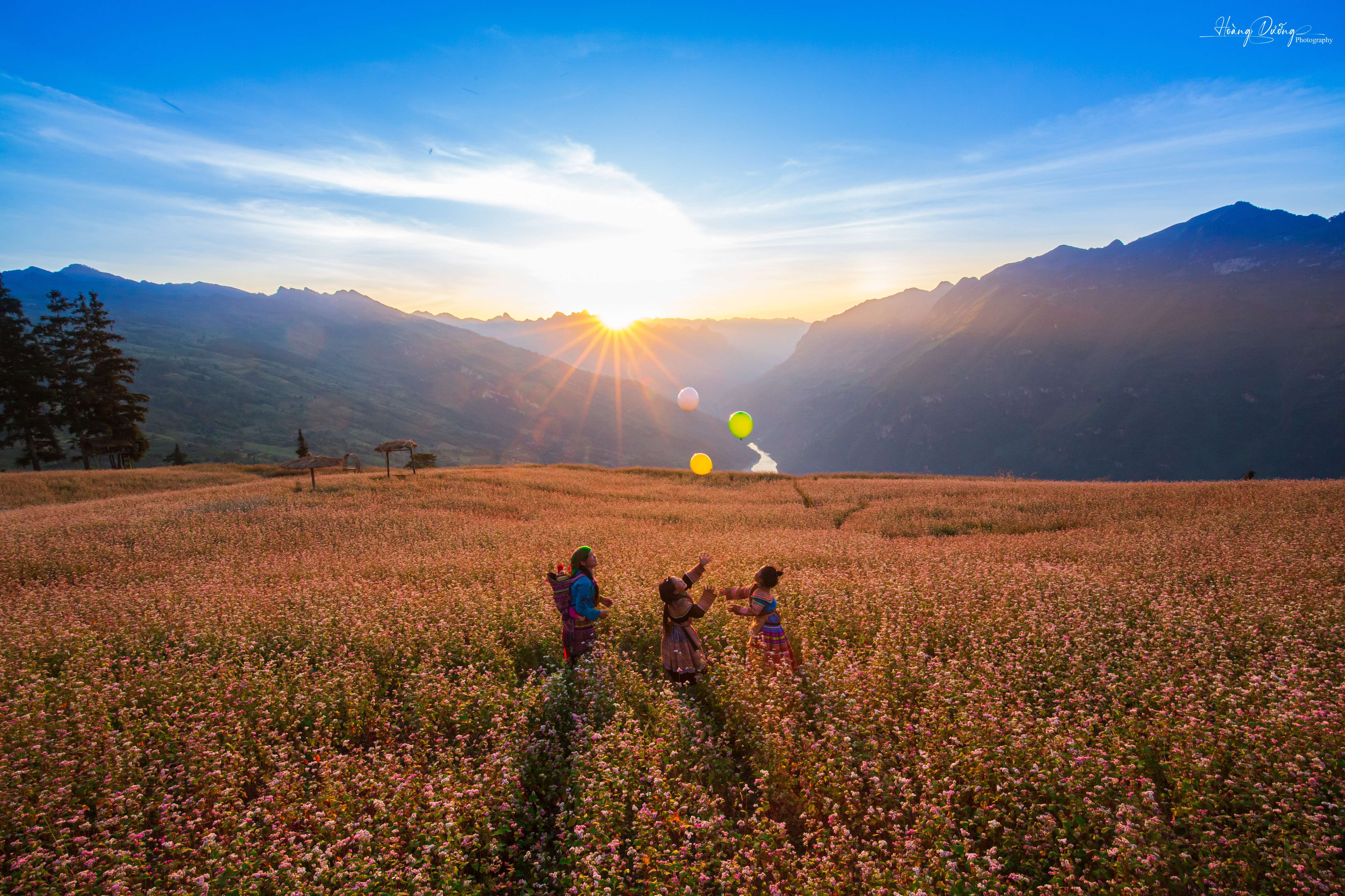 Rủ Nhau Ngắm Tam Giác Mạch Ở Suối Thầu Hà Giang