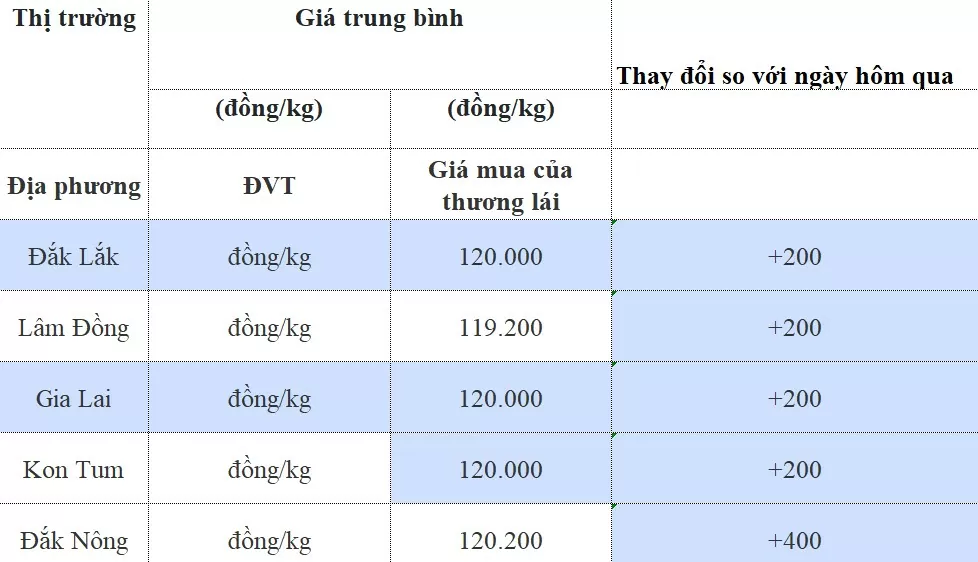 bang-gia-ca-phe-ngay-27820240827053552.webp?rt=202408271028