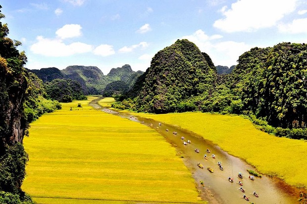 2465-di-dau-de-ngam-dong-lua-chin-dip-nghi-le-quoc-khanh-3_66cf289647d13.jpg đồng lúa chín