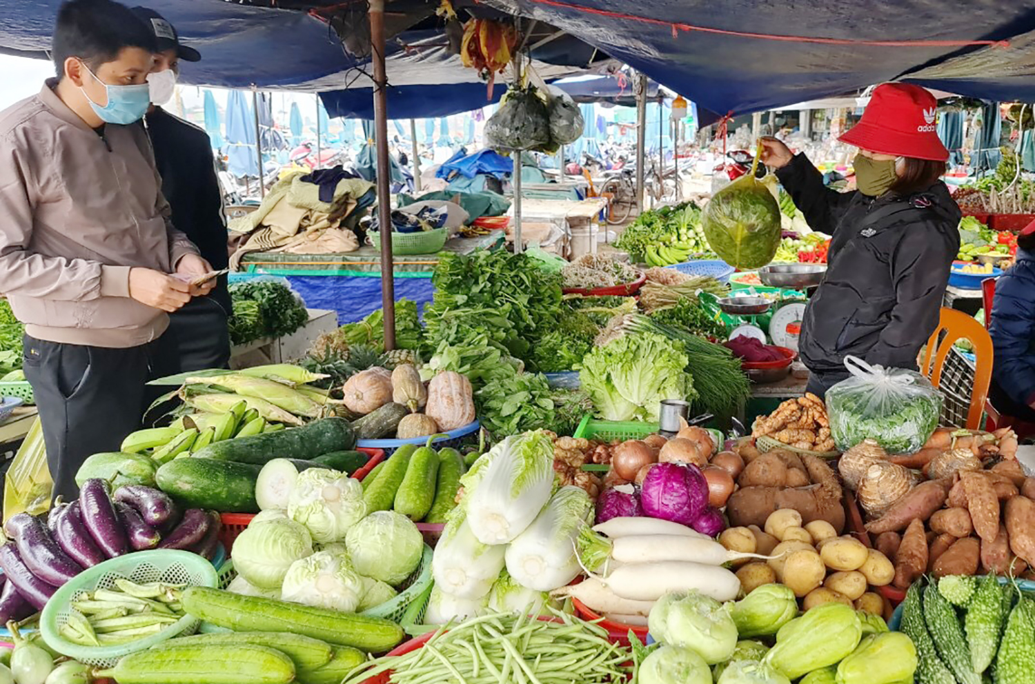 2522-rau-xanh-tai-ha-noi-tang-manh-co-loai-len-den-100-000d-kg_66e04aab10e2d.jpeg