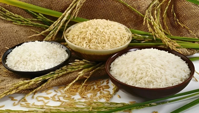 Giá lúa gạo