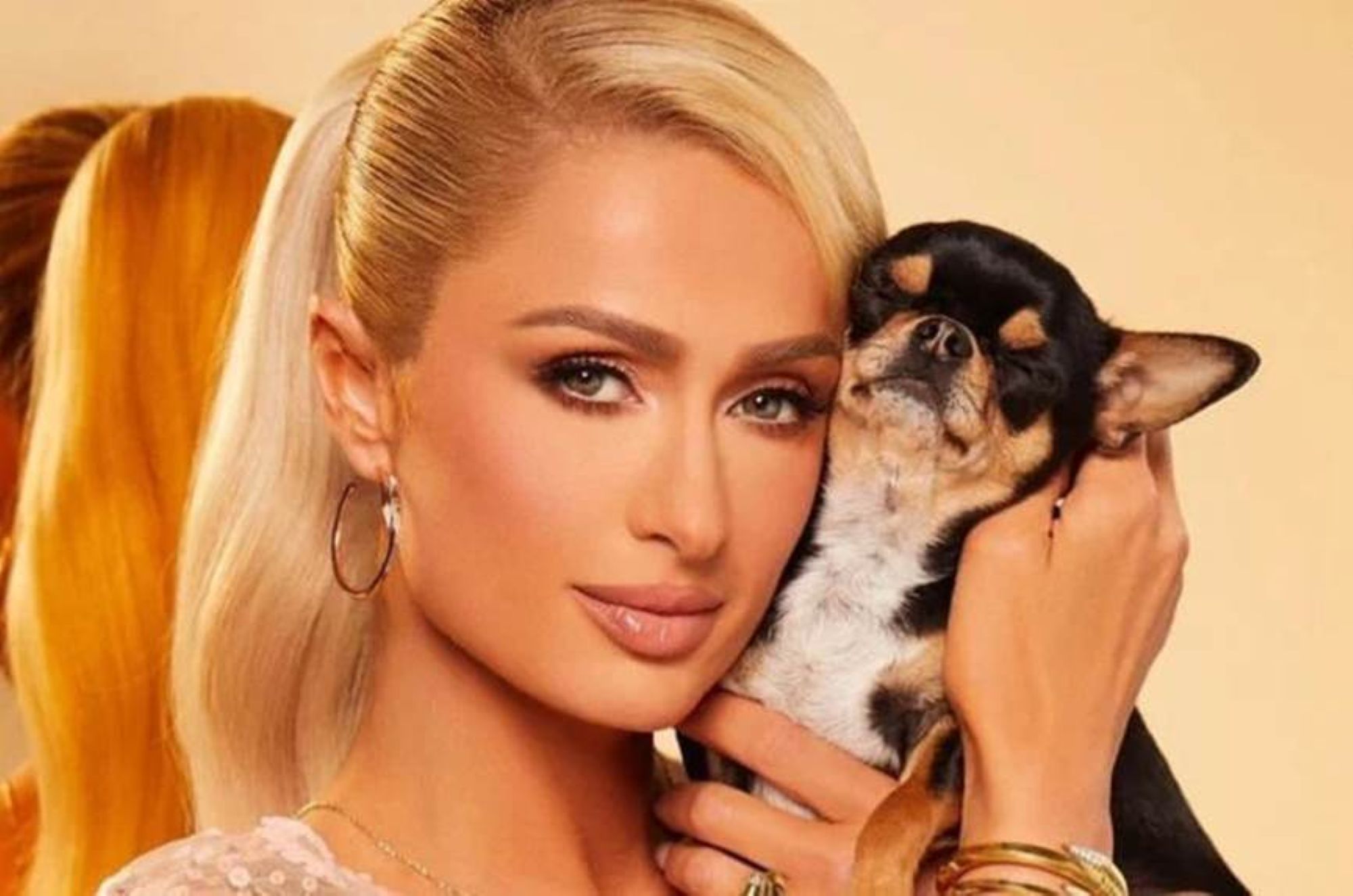 Sau thành công của series hoạt hình Paris & Pups, Paris Hilton sẽ chính thức gia nhập vũ trụ PAW Patrol và góp giọng cho nhân vật Nancy trong bộ phim mới.