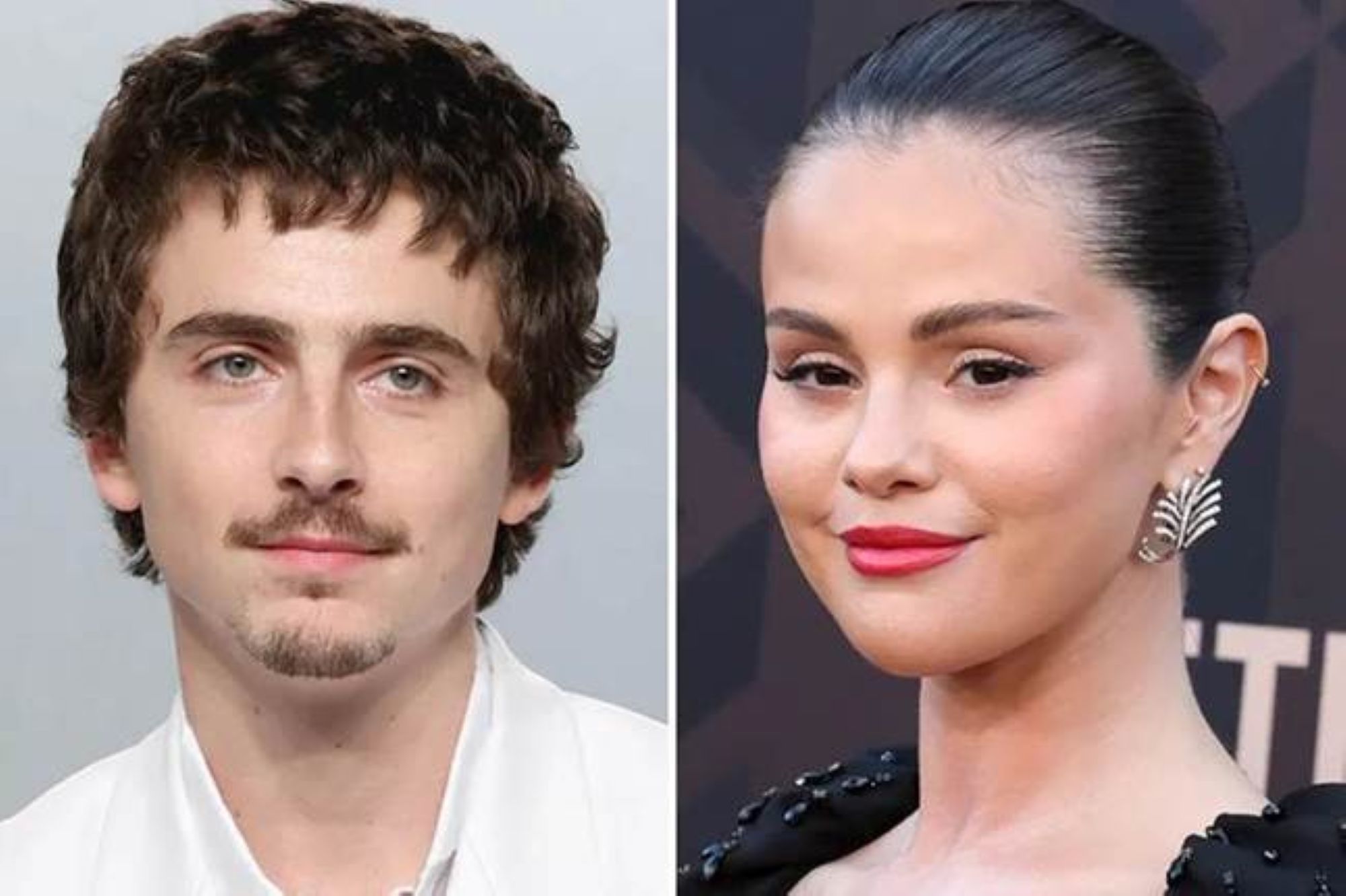 Timothée Chalamet và Selena Gomez lồng tiếng cho phim hoạt hình KHÔNG ĐƠN ĐỘC của Illumination