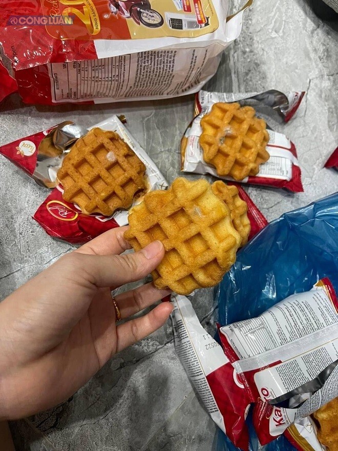 252-moc.jpg