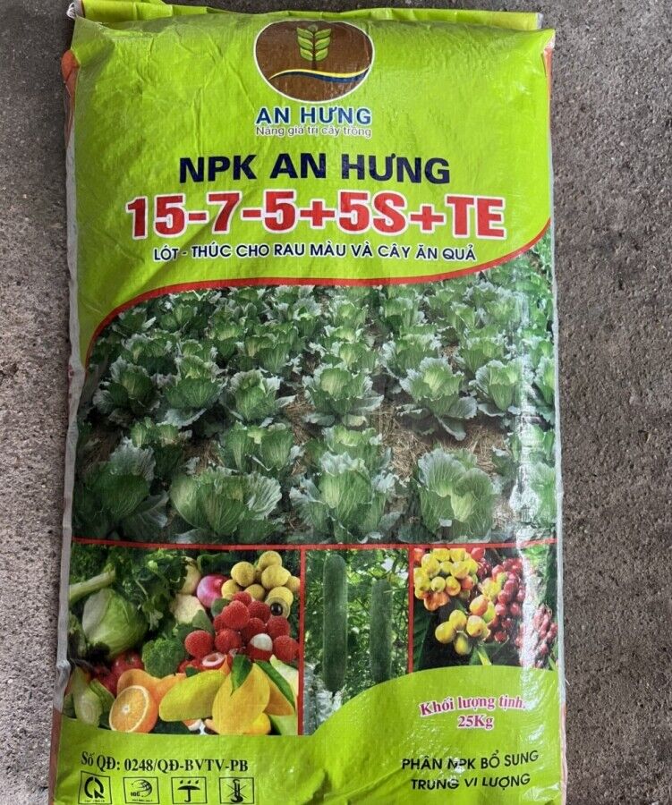137-image.jpeg