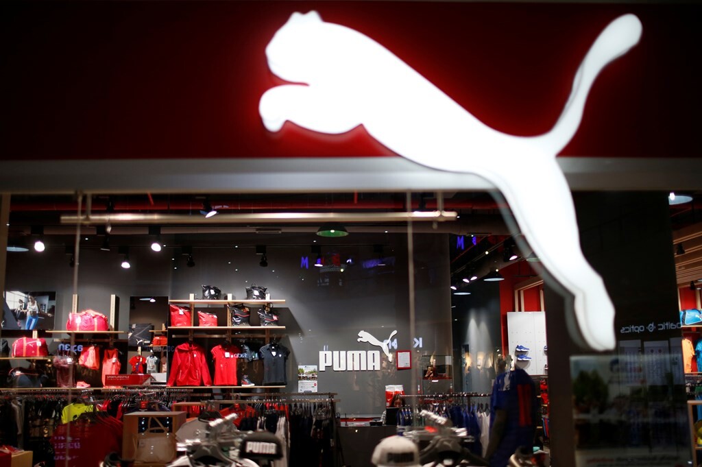 313-puma.jpg
