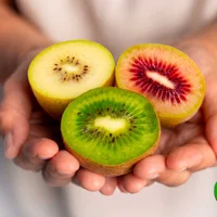 European Nature’s Vibe khởi động mùa Kiwi mới tại Việt Nam, Hàn Quốc, Đài Loan và Malaysia