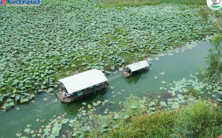 Chọn tour trải nghiệm giúp bảo tồn thiên nhiên tại Tràm Chim
