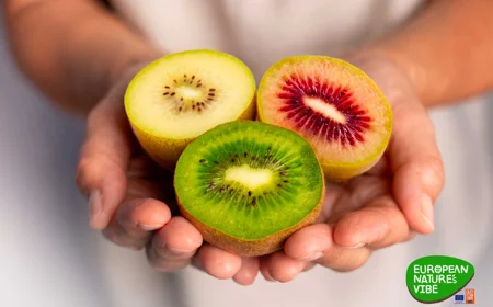European Nature’s Vibe khởi động mùa Kiwi mới tại Việt Nam, Hàn Quốc, Đài Loan và Malaysia