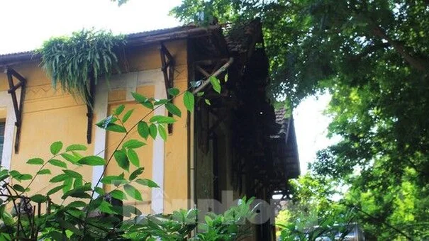 Chiêm ngưỡng vẻ đẹp của các biệt thự Pháp cổ trong nắng thu Hà Nội