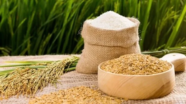 Giá lúa gạo hôm nay 12/10: Giá gạo tăng 100