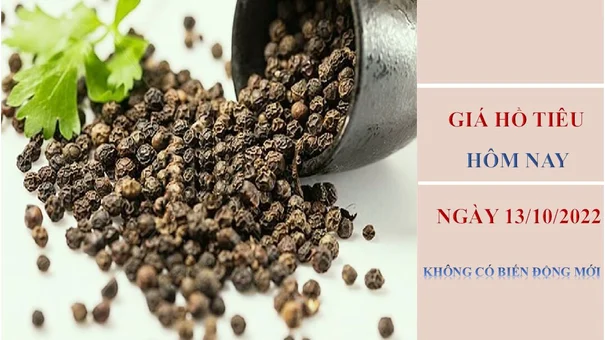 Giá hồ tiêu hôm nay 13/10/2022: Không có biến động mới