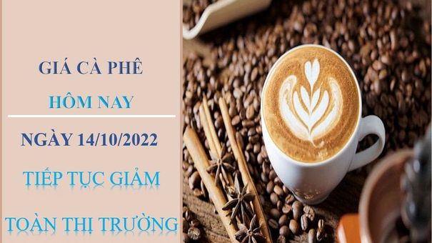 Giá cà phê hôm nay 14/10/2022: Tiếp tục giảm toàn thị trường