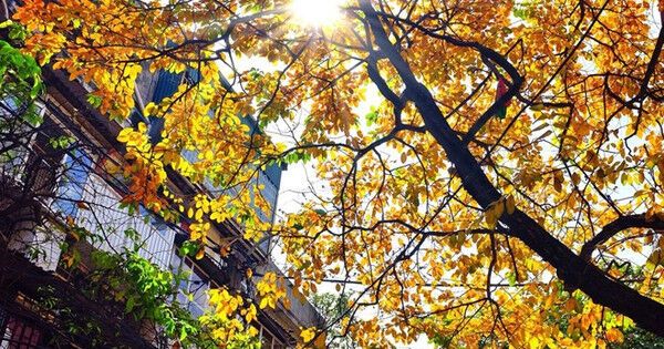 Dự báo thời tiết ngày 16/10: Hà Nội ngày nắng, đêm và sáng sớm trời lạnh