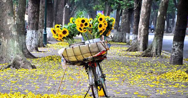 Dự báo thời tiết ngày 17/10: Hà Nội ngày nắng, trời se lạnh, hanh khô