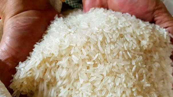 Giá lúa gạo hôm nay 22/10: Giá gạo dao động quanh mốc 9.100