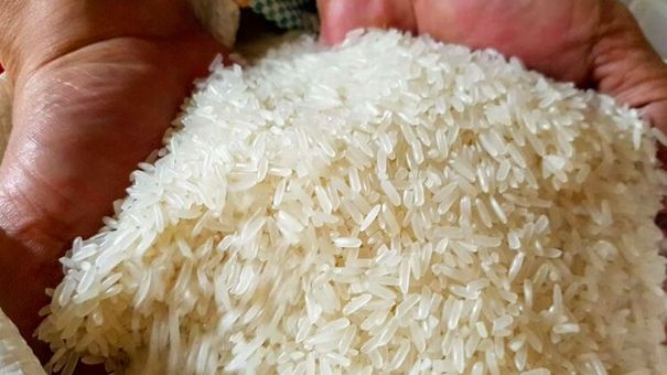Giá lúa gạo hôm nay 22/10: Giá gạo dao động quanh mốc 9.100