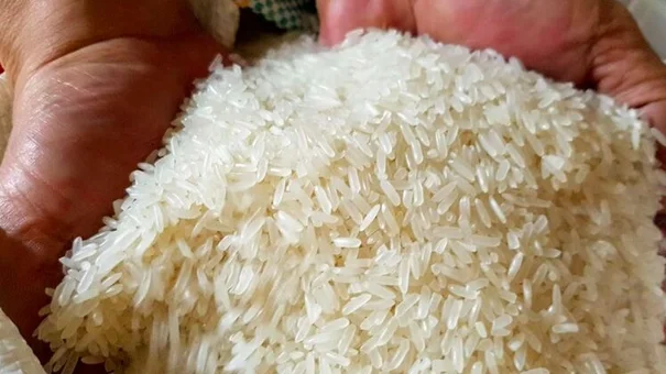 Giá lúa gạo hôm nay 22/10: Giá gạo dao động quanh mốc 9.100