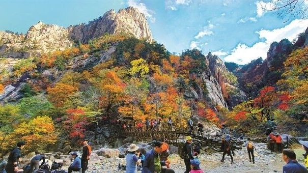 Vì sao Hàn Quốc đột ngột dừng miễn thị thực cho khách Việt đến Gangwon?