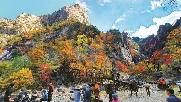 Vì sao Hàn Quốc đột ngột dừng miễn thị thực cho khách Việt đến Gangwon?