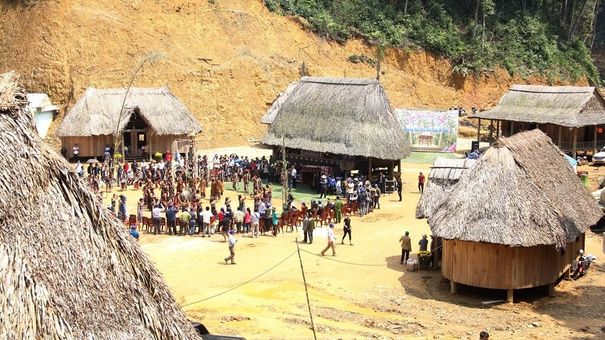 'Vương quốc' Pơ mu ngàn năm tuổi trên dãy Trường Sơn