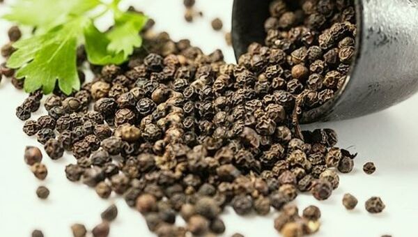 Giá tiêu hôm nay 25/10: Giảm 500 đồng/kg