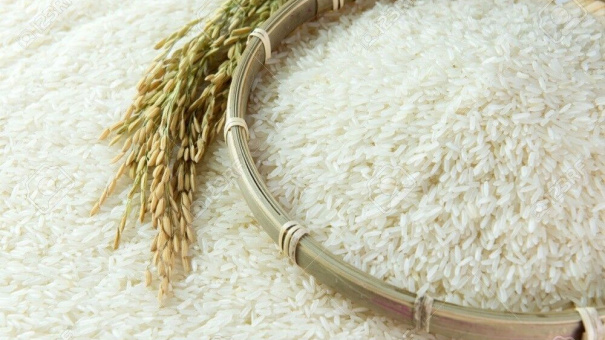 Giá lúa gạo hôm nay 3/10: Nguồn cung giảm, giá lúa gạo neo ở mức cao