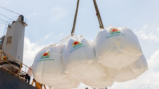 Gạo Việt Nam vượt qua 2 quốc gia xuất khẩu gạo hàng đầu là Thái Lan và Ấn Độ
