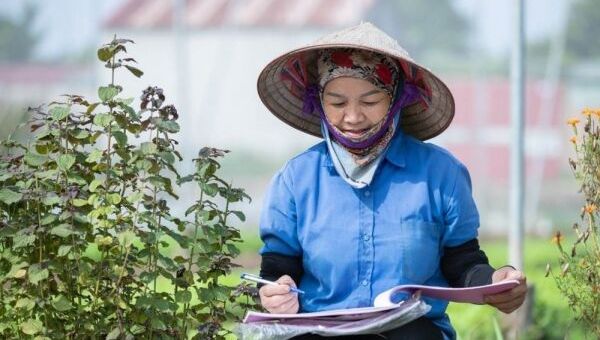 Bạn đã hiểu đúng về thực phẩm sạch chưa?