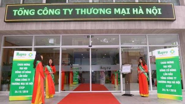 Sở hữu loạt khu đất vàng, vì sao Hapro lại kinh doanh “bết bát” sau khi về tay BRG?