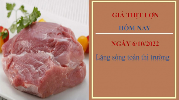 Giá thịt lợn hôm nay 6/10/2022: Lặng sóng toàn thị trường