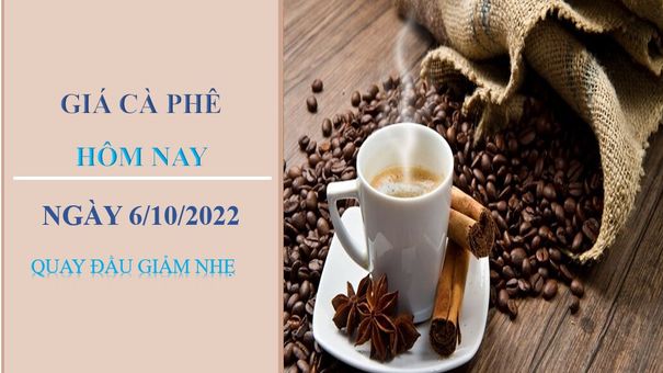 Giá cà phê hôm nay 6/10/2022: Quay đầu giảm nhẹ