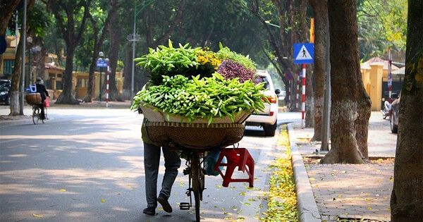 Dự báo thời tiết ngày 6/10: Bắc Bộ ngày nắng, chiều tối có mưa rào và dông rải rác