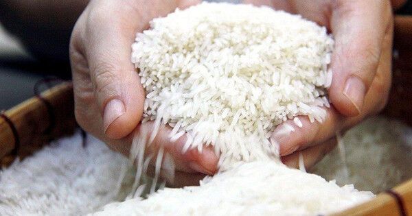 Giá gạo Việt Nam tăng vượt Thái Lan