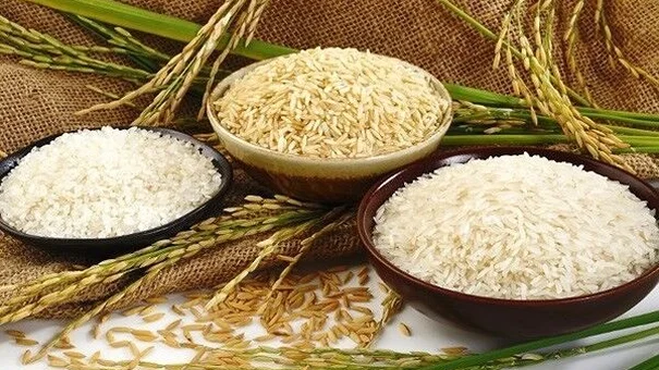 Giá lúa gạo hôm nay 9/10 và tổng kết tuần qua: Gạo nội địa ổn định, xuất khẩu tăng 5 USD/tấn